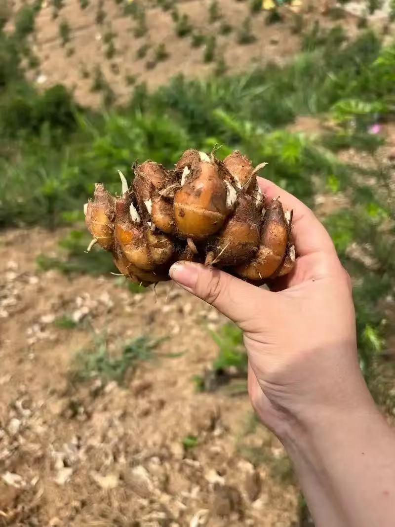 品质标准封面